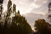 DSC_0185.JPG